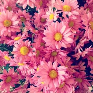 Meet your Posher, Saara